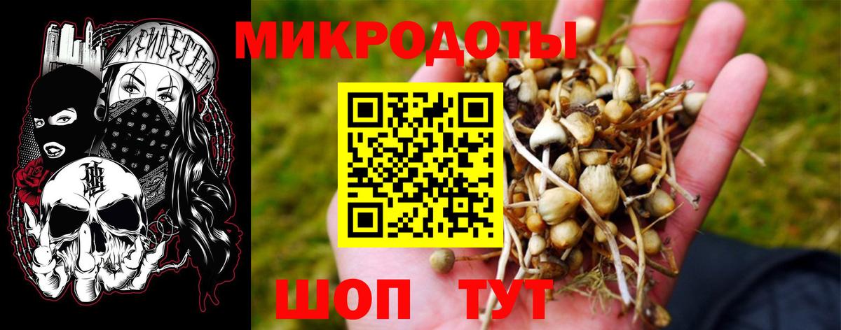 Галлюциногенные грибы Psilocybe  Вход с VPN  Сафоново 